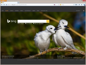 Abb 7_01 Microsofts Suchmaschine Bing